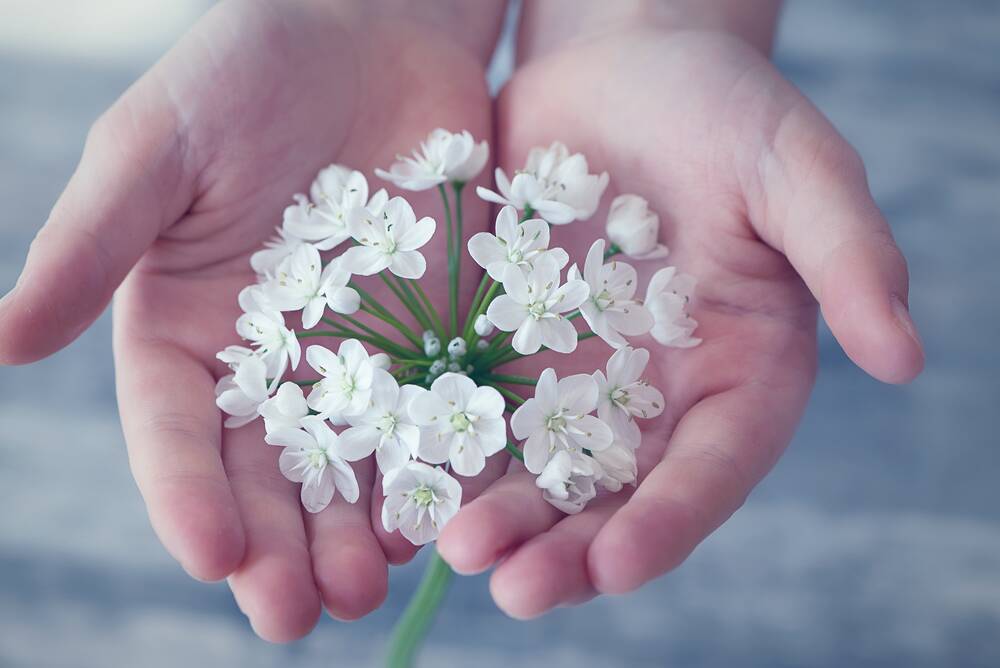 Handpflege mit Naturnagelpflege